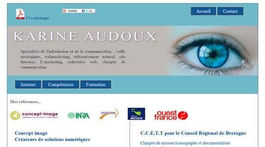 Page d’accueil du site Chef de projet webmarketing