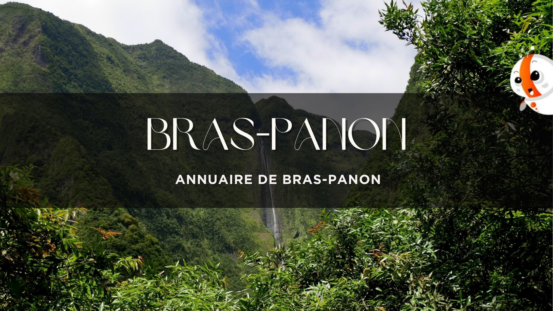 paysage montagneux de Bras-Panon avec végétation luxuriante et cascade dans le Sud de La Réunion