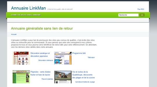 Page d’accueil du site Annuaire LinkMan, l’annuaire d’un référenceur pro