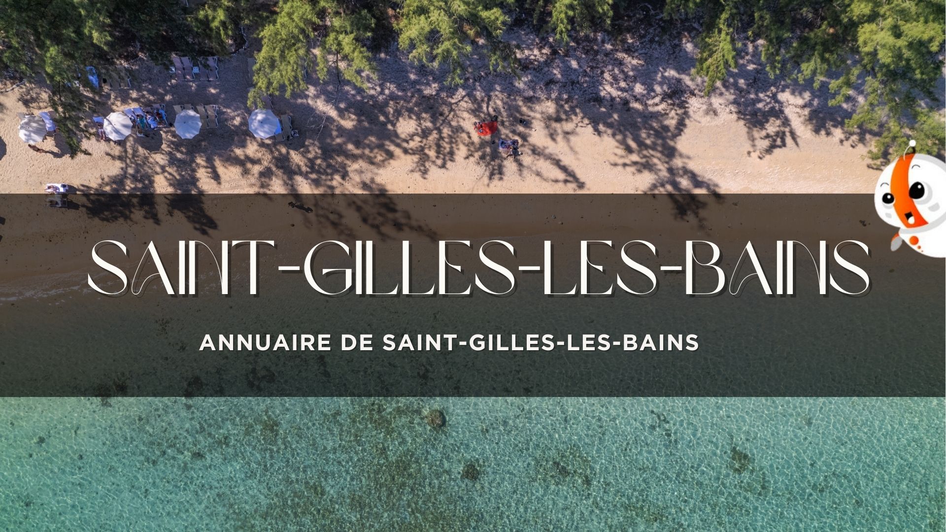 Plage de Saint-Gilles-les-Bains vue du ciel à La Réunion