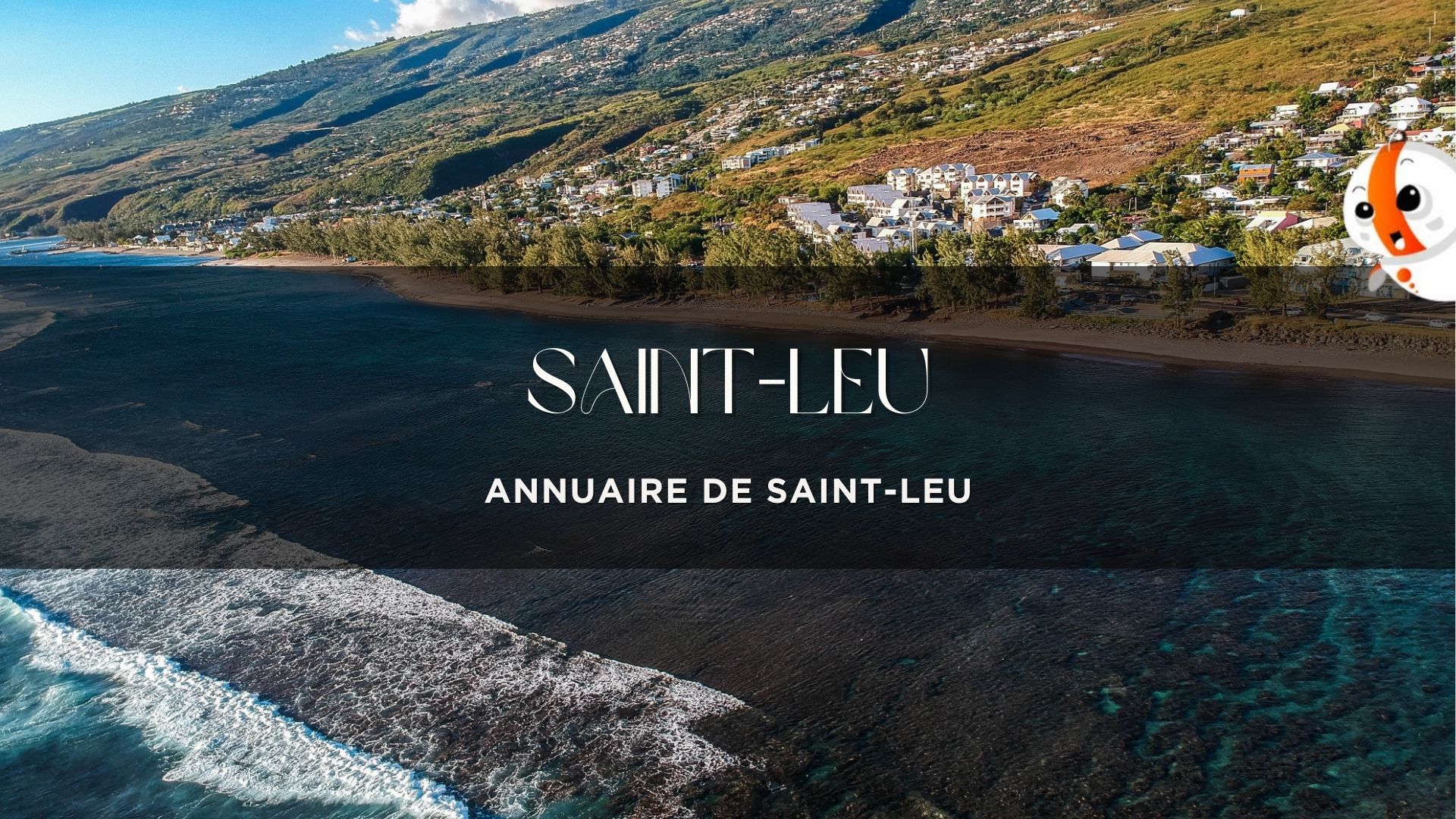 vue aérienne de la plage et du littoral de Saint-Leu à La Réunion