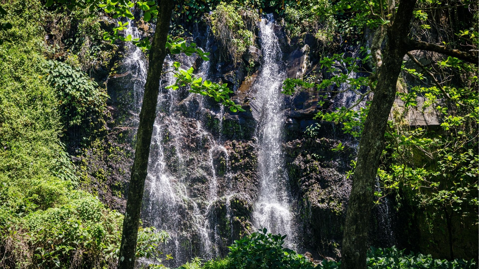 Anse des Cascade Sainte-Rose