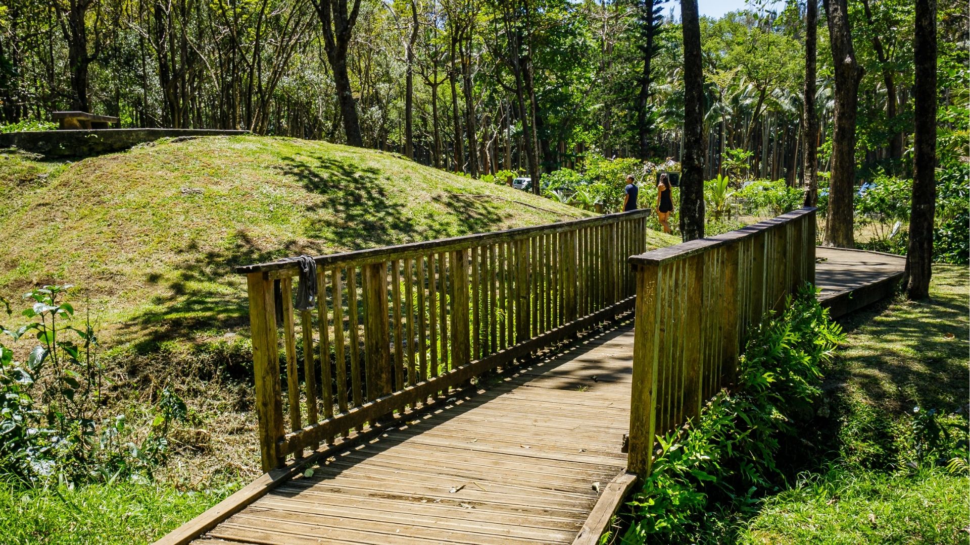 Petit pont de l'Anse des Cascade à Sainte-Rose
