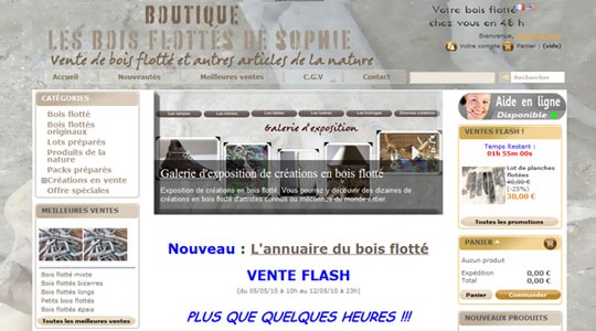 Page d’accueil du site Les bois flottés de Sophie : le bois flotté, une matière naturelle et écologique