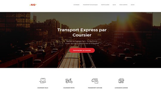 Page d’accueil du site Un service de livraison de colis sur Paris, avec Coursieridf.com