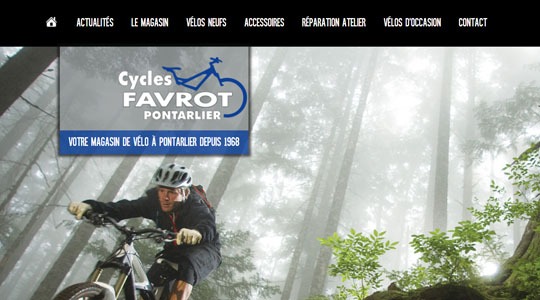 Page d’accueil du site Pourquoi passer au vélo électrique