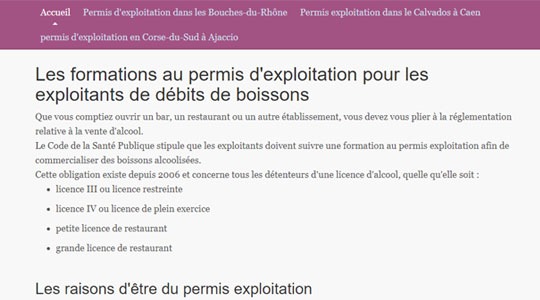 Page d’accueil du site Obtenir un permis d’exploitation : s’informer sur Debitdeboissons.com