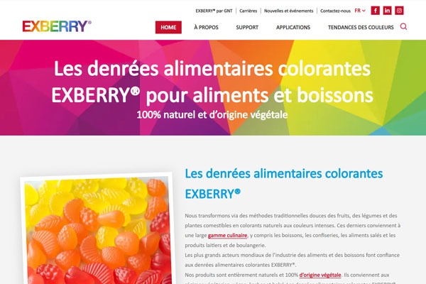 Page d’accueil du site Cake Design : comment faire les gâteaux les plus Instagrammables ?