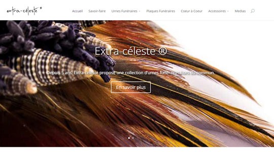 Page d’accueil du site Un vaste choix d’urnes funéraires artisanales avec Extra Céleste