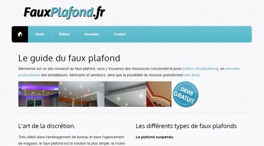 Page d’accueil du site Aménagement de locaux professionnels, avec Fauxplafond.fr