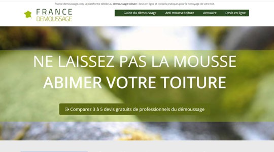 Page d’accueil du site Optez pour le démoussage professionnel
