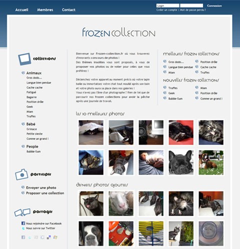 frozen-collection-collection-image-insolite frozen-collection-collection-image-insolite