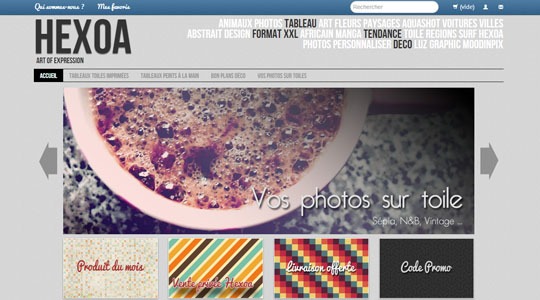 Page d’accueil du site Boutique en ligne de tableaux sur toiles et d’art intérieur avec Hexoa
