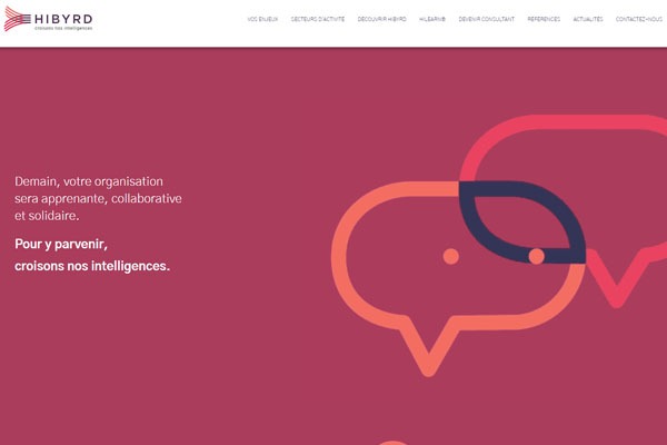 Page d’accueil du site Un cabinet de conseil pour la transformation des sociétés