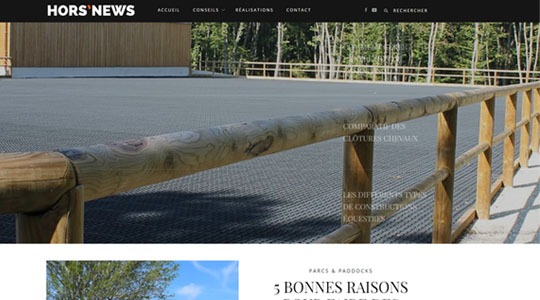 Page d’accueil du site Blog équestre pour les propriétaires de chevaux ou gérants d’écuries
