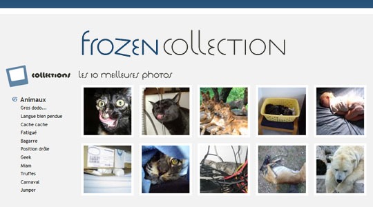 Page d’accueil du site Frozen collection, le site idéal pour un petit break !