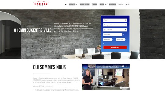 Page d’accueil du site Agence Carrez Immobilier à côté de Dijon