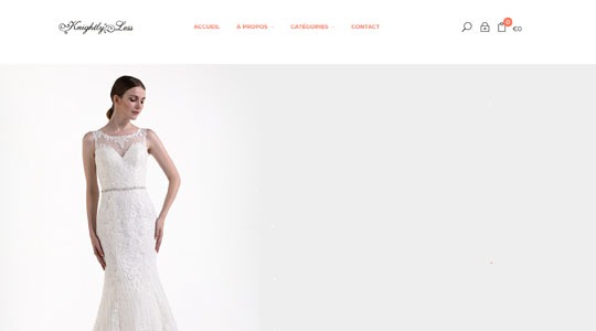 Page d’accueil du site Les astuces pour trouver sa robe de mariée sur internet