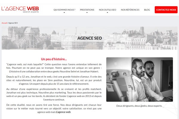 Page d’accueil du site Professionnel du référencement Google, SEO et SEA avec l’agence web