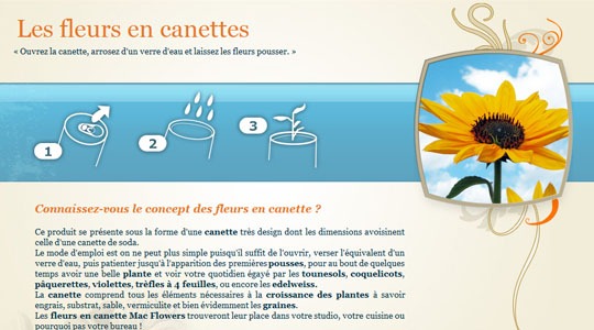 Page d’accueil du site Fleurs en canette : tournesol, paquerette, coquelicot