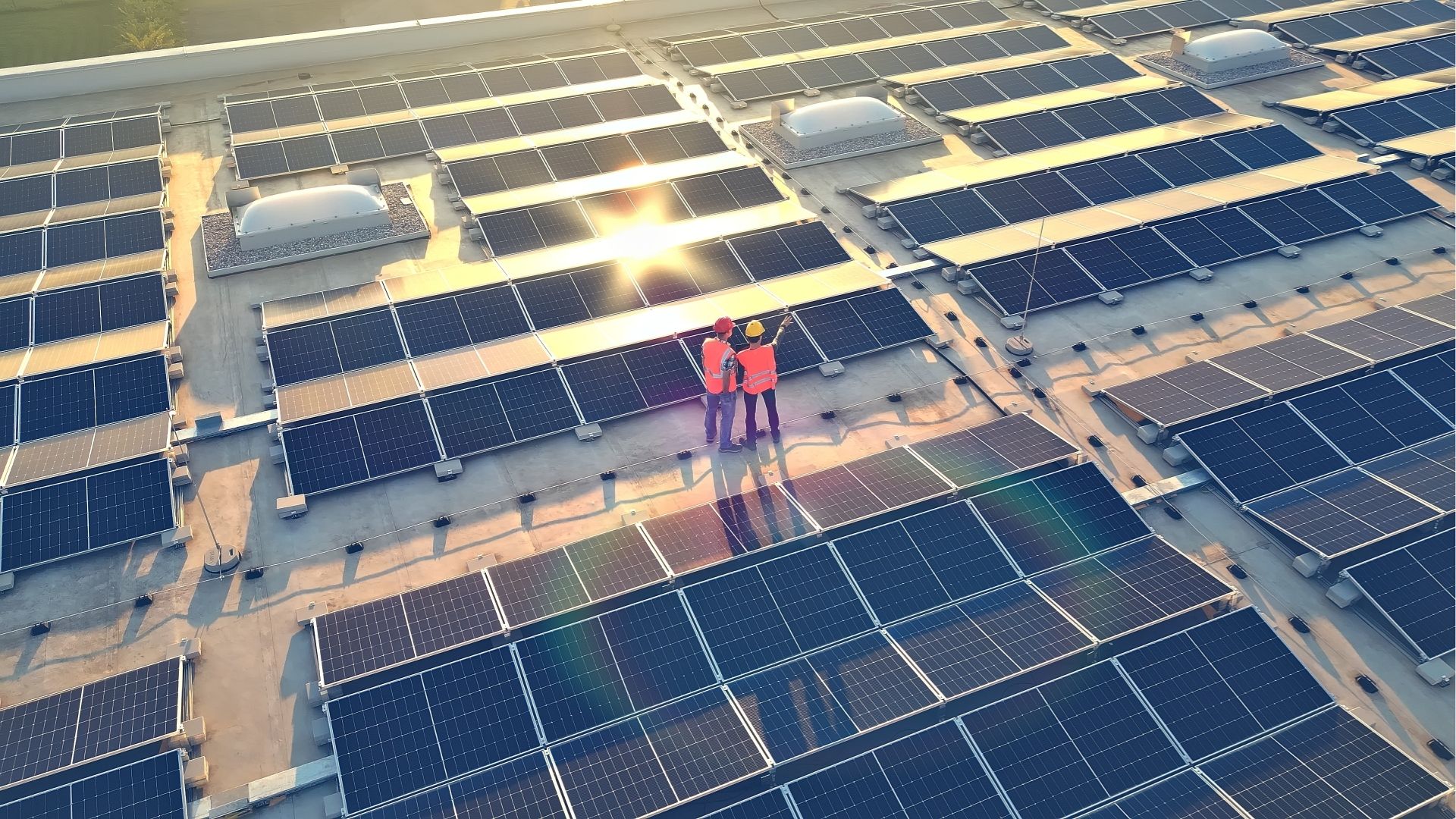 Techniciens installant des panneaux solaires sur une toiture
