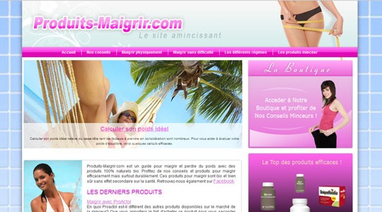 Page d’accueil du site Maigrir sainement et durablement