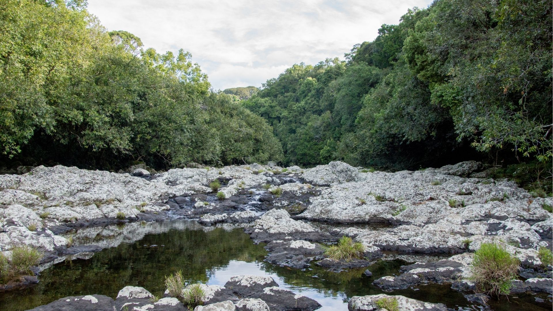 Rivière et roches naturelles à Saint-Suzanne à La Réunion