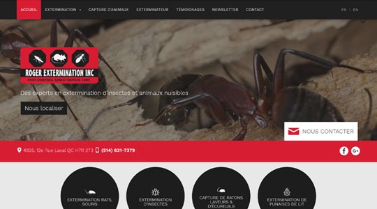 Page d’accueil du site La gestion parasitaire à l’échelle professionnelle, avec le site Roger Extermination
