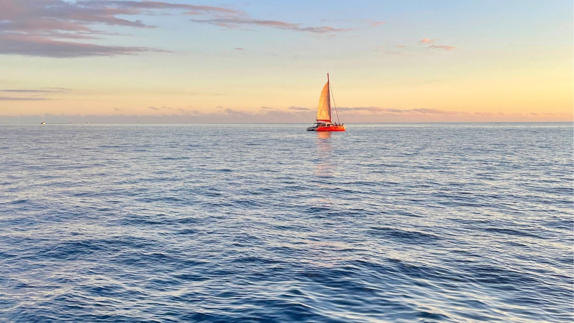 Catamaran naviguant au coucher du soleil sur l’océan à Saint-Gilles-les-Bains à La Réun