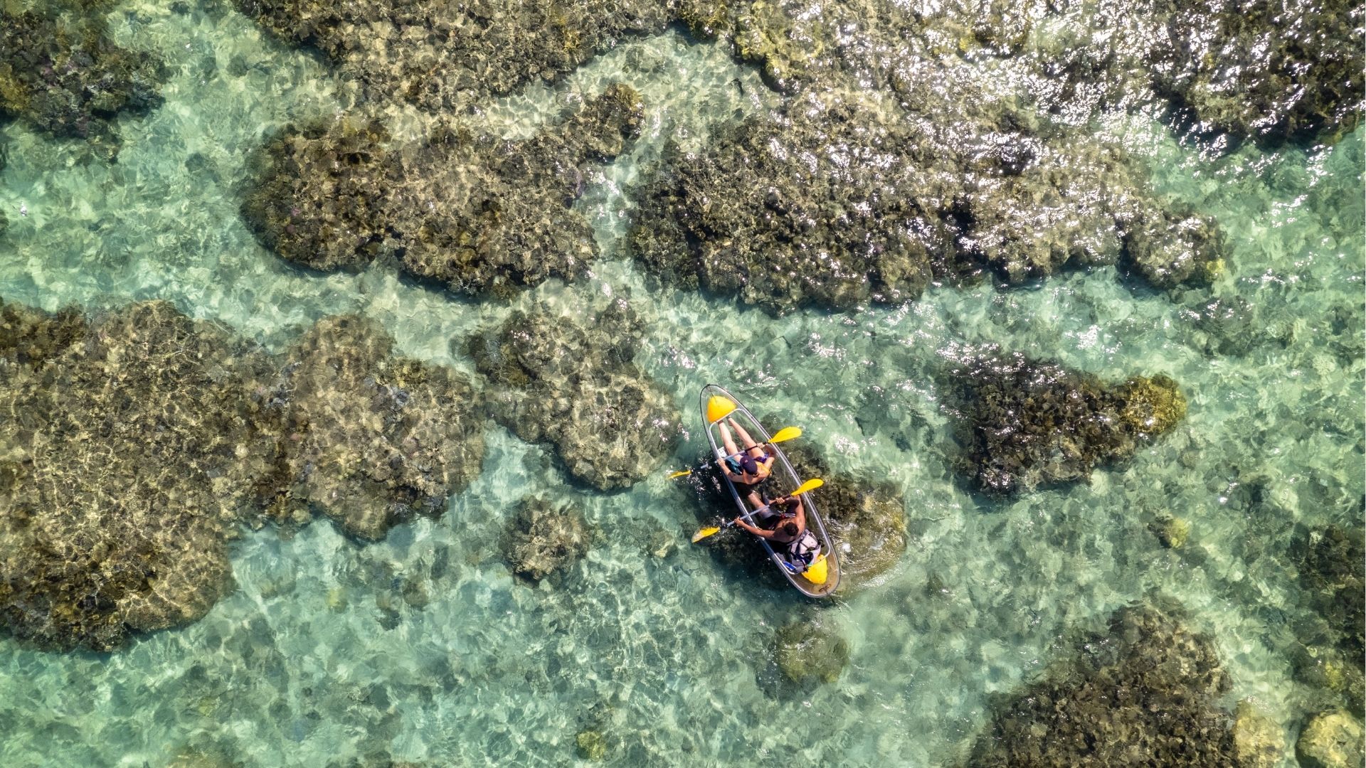 Kayak transparent sur le lagon de Saint-Gilles-les-Bains avec une eau claire à La Réunion