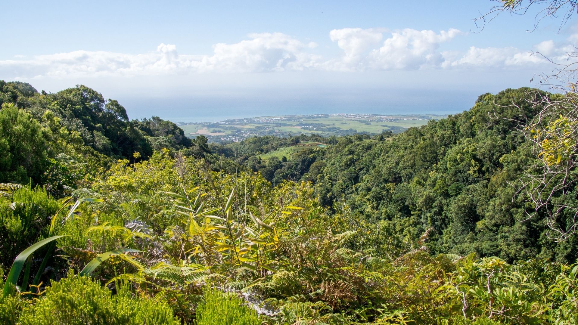 Vue panoramique depuis les hauts de Sainte-Marie avec la forêt et l’océan en arrière-plan à La Réunion
