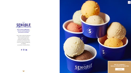 Page d’accueil du site Une nouvelle expérience gourmande avec Senoble