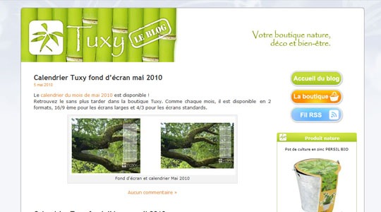 Page d’accueil du site Tuxy, le blog