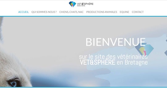 Page d’accueil du site Trouver un vétérinaire sur Internet, c’est possible