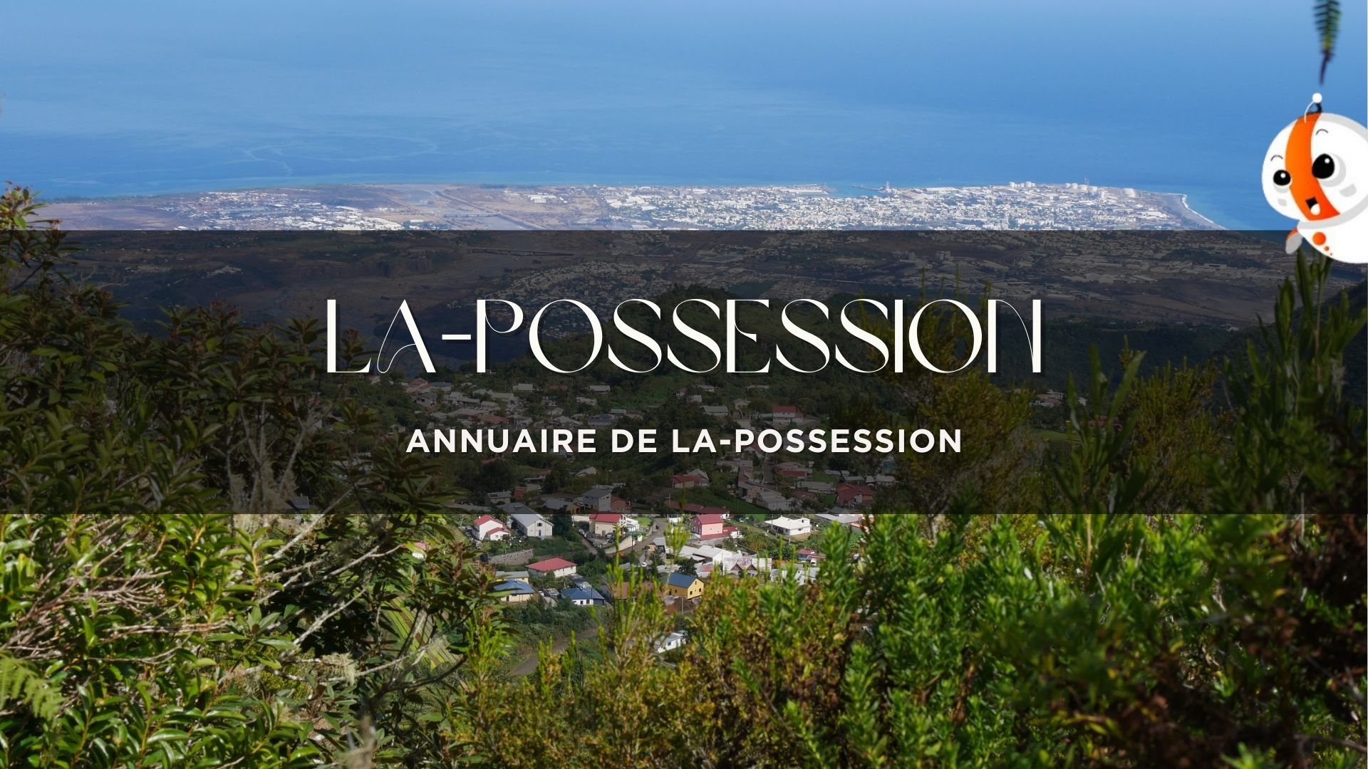 vue générale de La Possession depuis les hauteurs