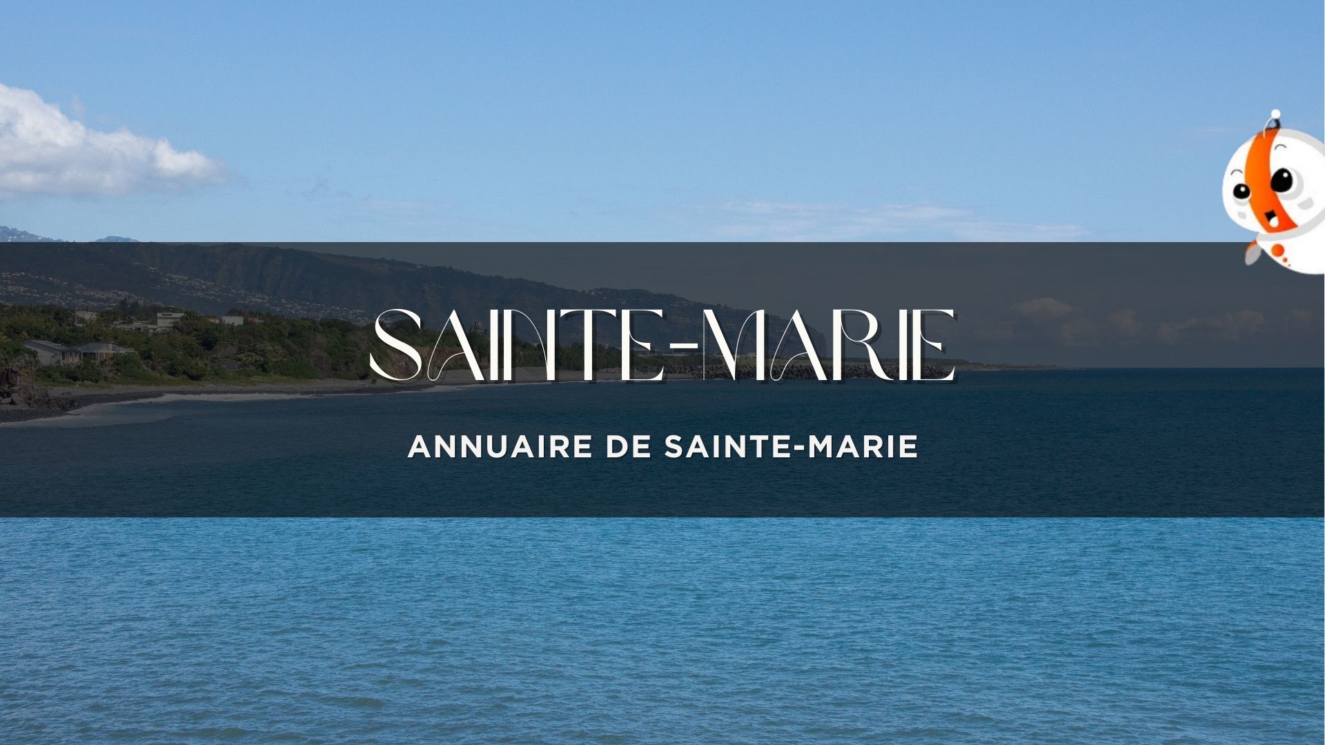 vue de la côte de Sainte-Marie avec l’océan et les montagnes à La Réunion