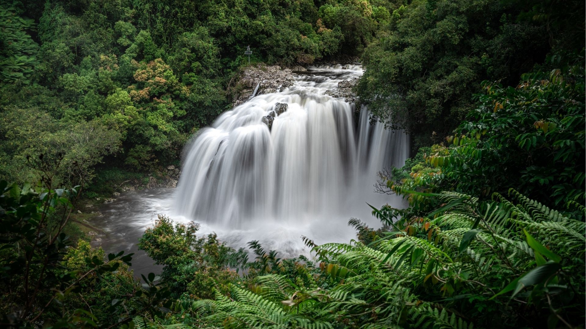 cascade du Bassin Bœuf à Sainte-Suzanne à La Réunion