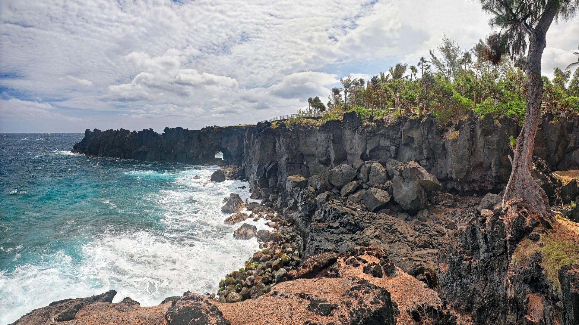 Cap Méchant de Saint-Philippe à La Réunion, vue sur l'océan et la nature