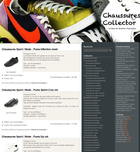 chaussures-collector