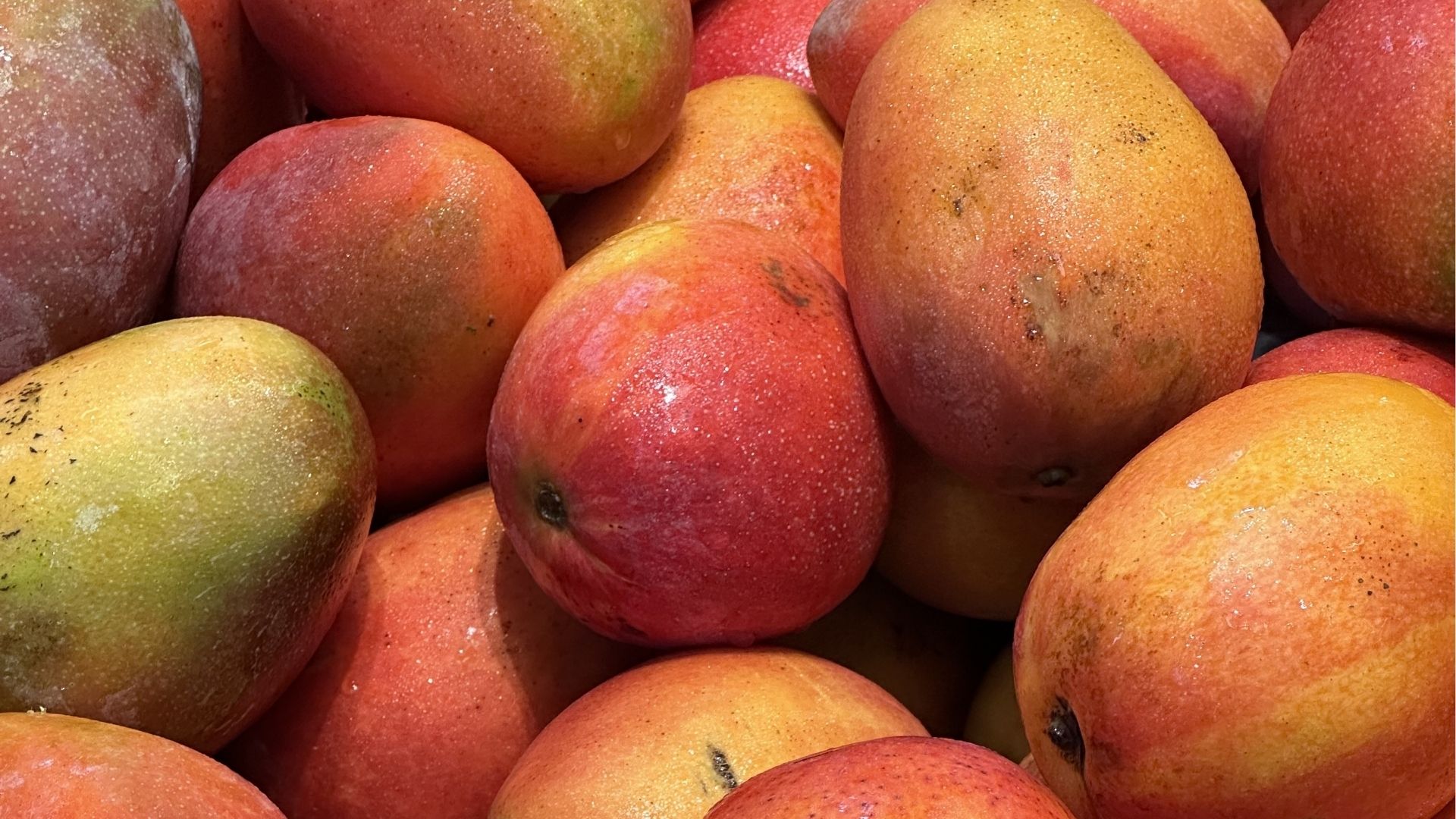 Mangues tropicales, au marché de Bras-Panon