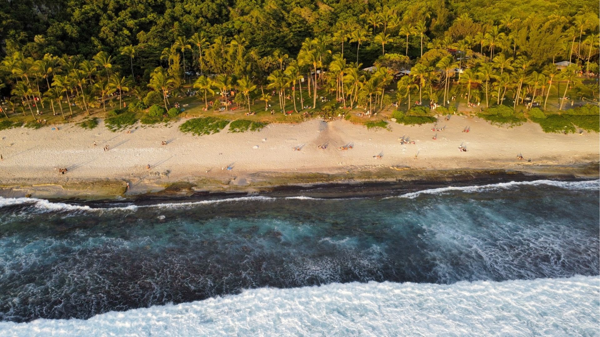 vue aérienne de la plage de Grand Anse, avec la mer et les palmiers