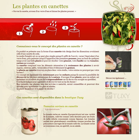 plantes-en-canettes