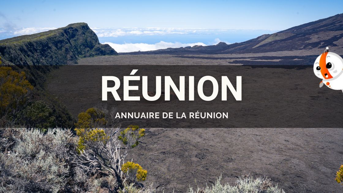Annuaire Réunion : entreprises et services à La Réunion