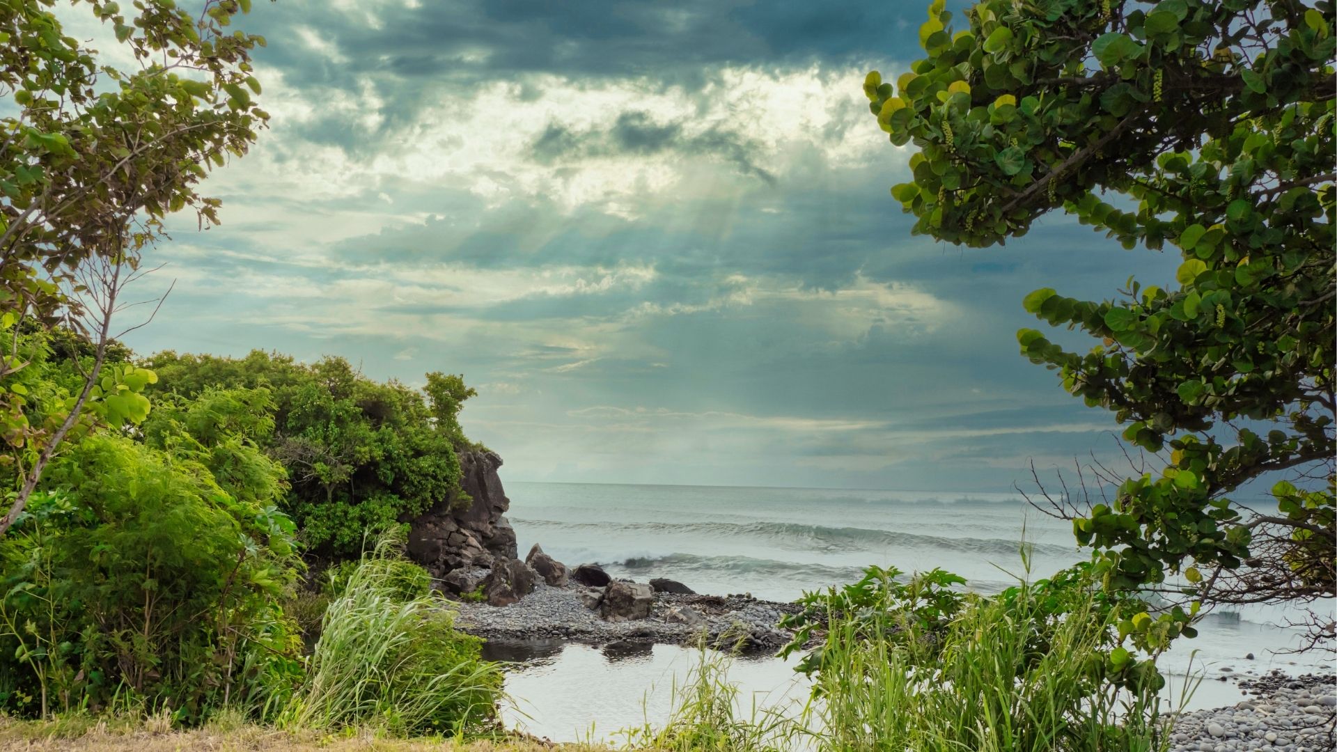vue naturelle et verdoyante sur le littoral de Sainte-Marie avec océan et roches à La Réunion
