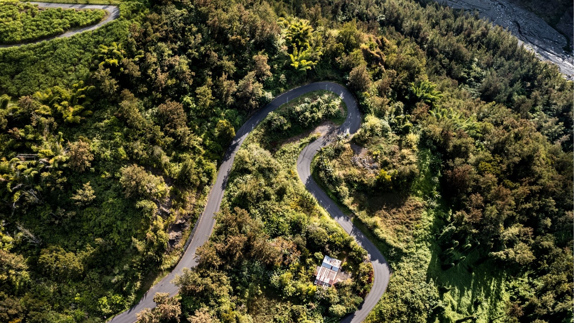 Virage de route en montagne à La Réunion avec une vue sur la végétation luxuriante