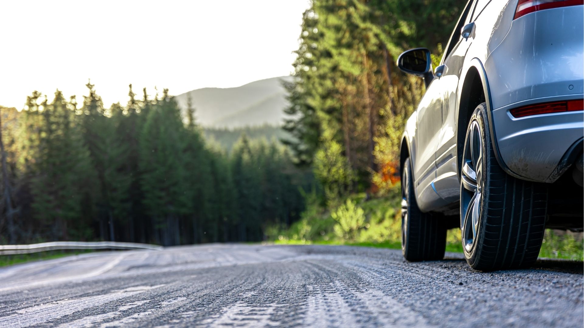 SUV gris sur une route bordée de forêt